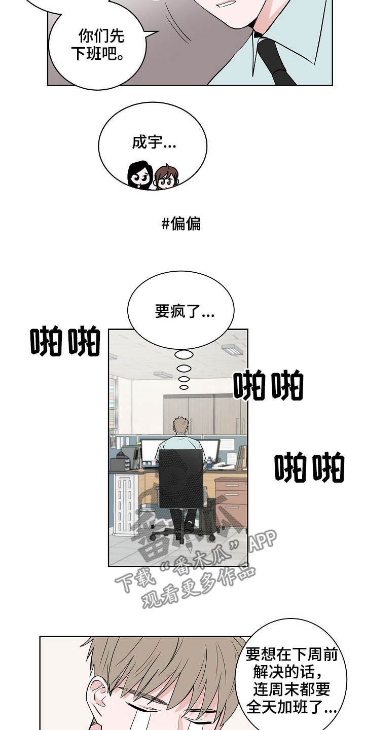 猫狗一窝疯动漫漫画,第23章：加班1图