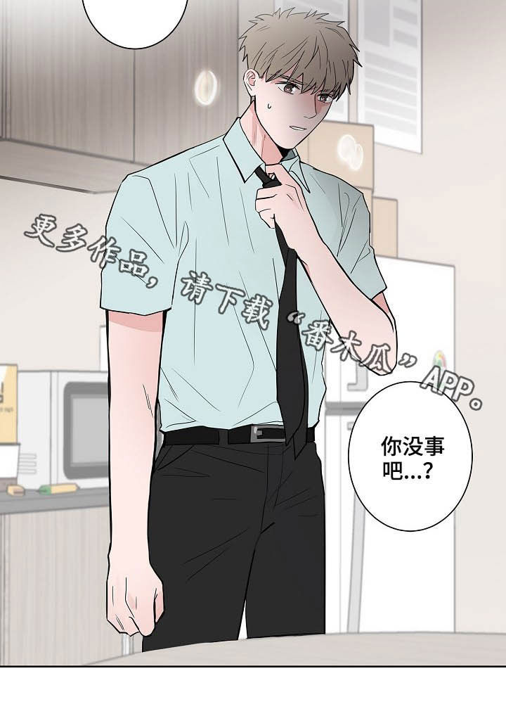 猫狗大战视频漫画,第24章：一个问题2图