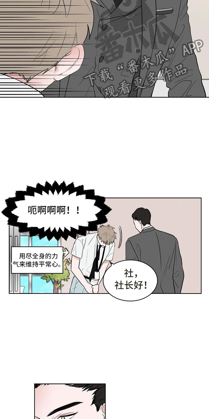 猫狗大战视频漫画,第16章：一言难尽1图