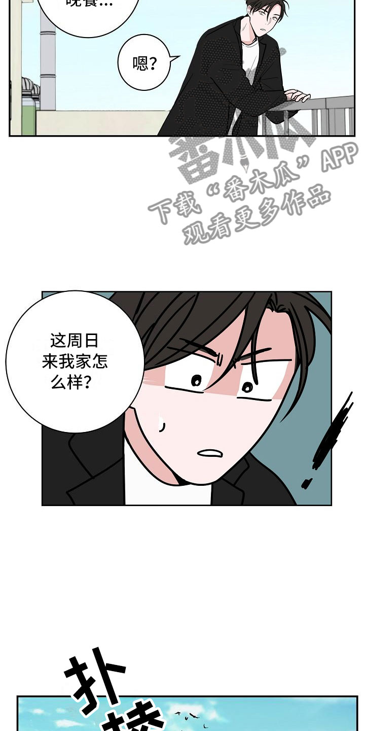 猫狗搏斗战术漫画,第14章：上天台2图