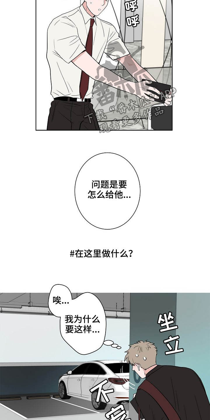 猫狗可爱视频漫画,第22章：礼物2图