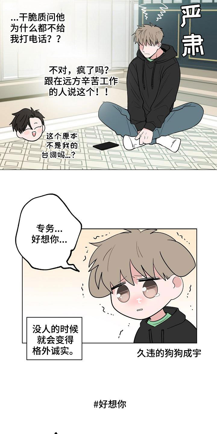 猫狗弓形虫通过什么途径传染给人类漫画,第63章：独居2图