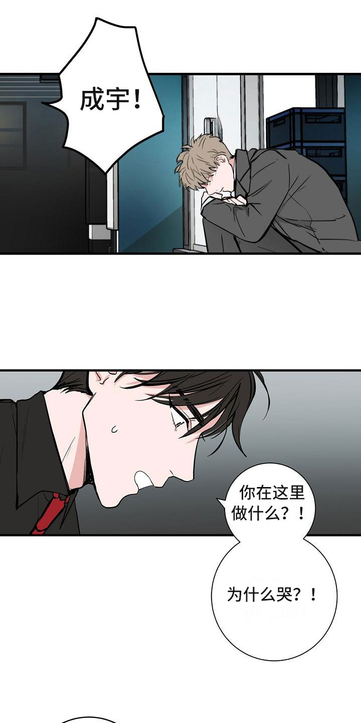 猫狗互战漫画,第6章：体贴1图