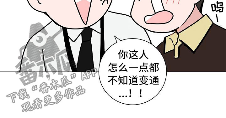 猫狗大战视频漫画,第16章：一言难尽2图