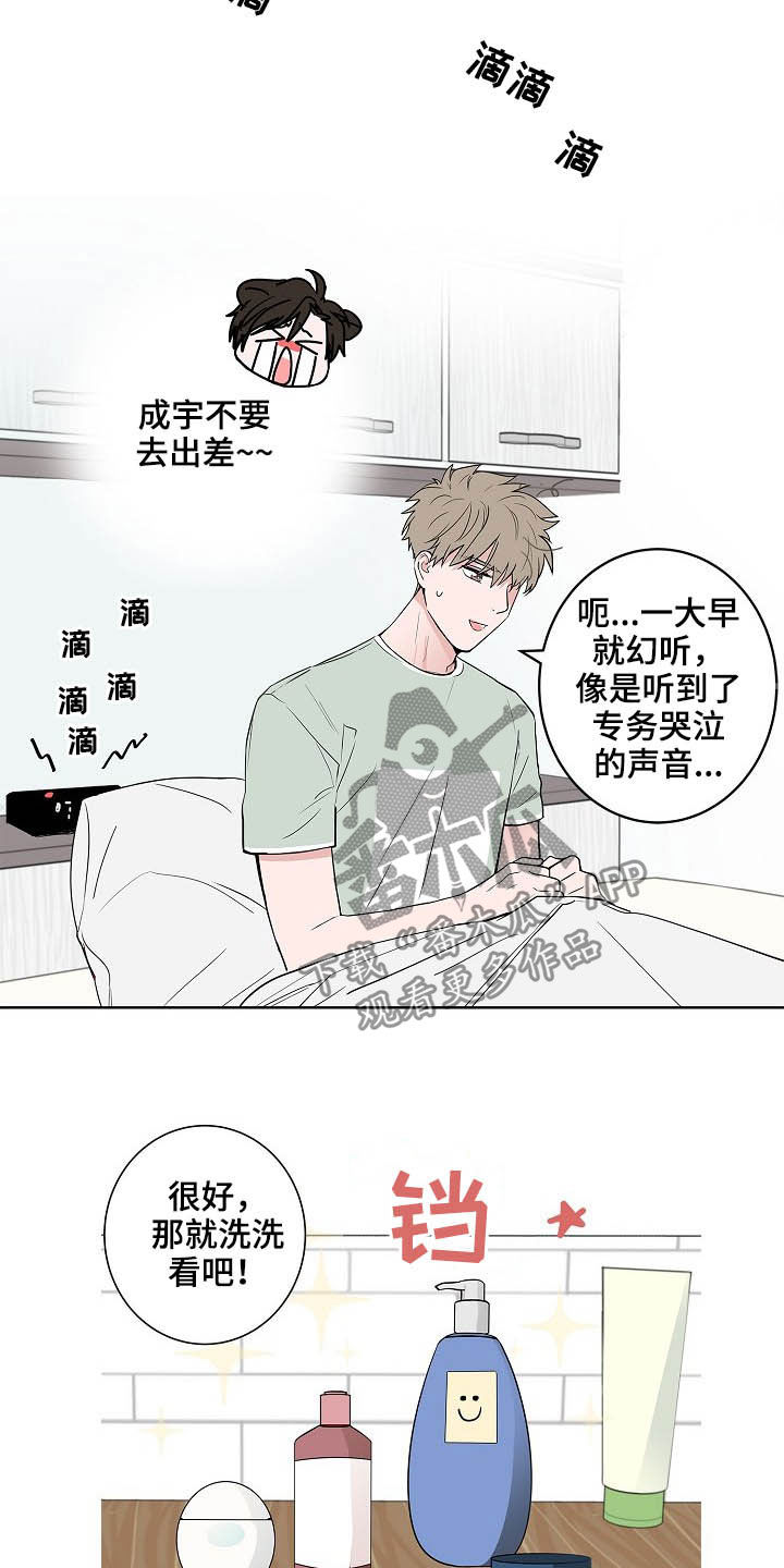 猫狗搏斗战术漫画,第26章：发型2图