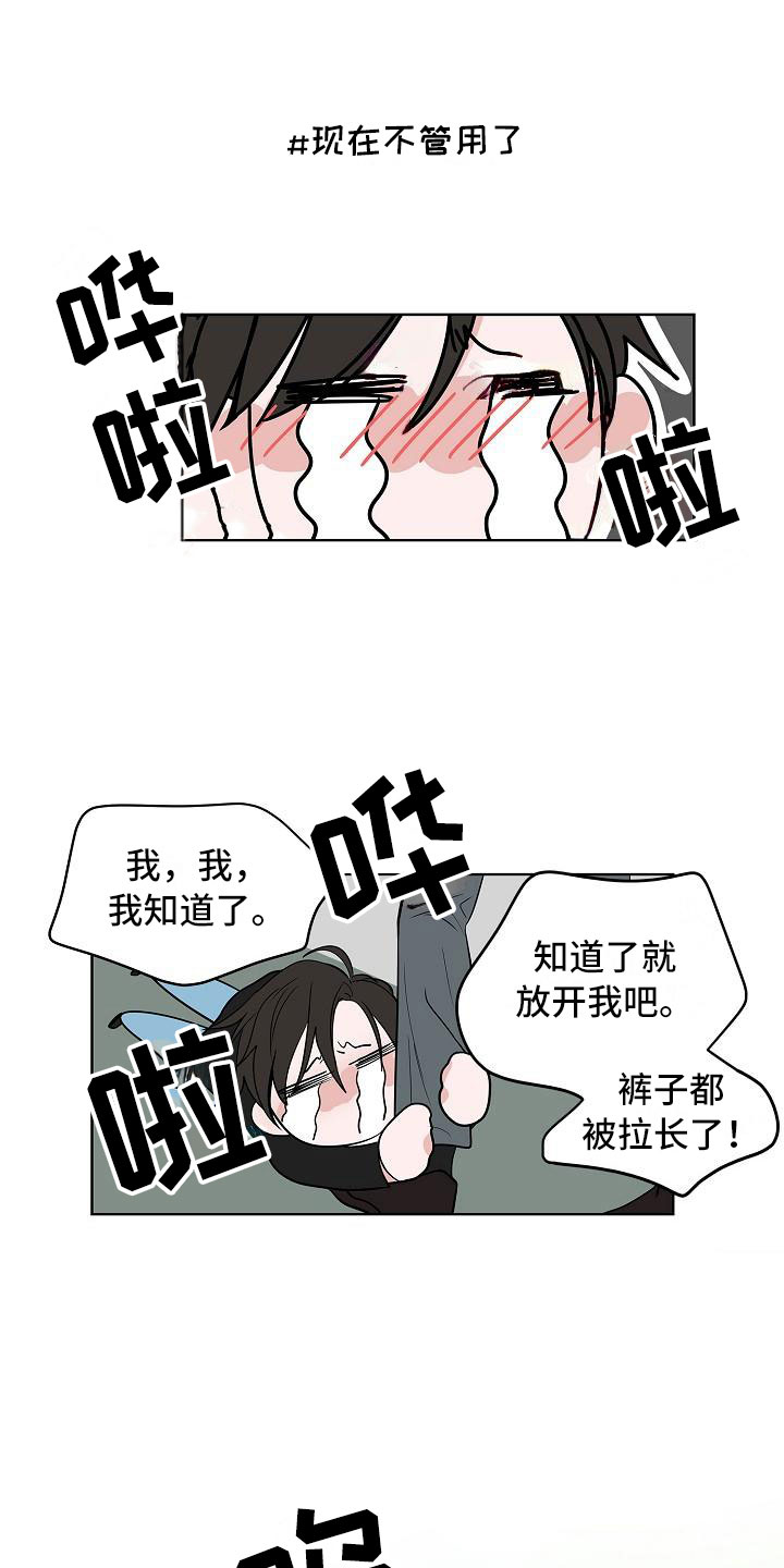 猫狗战斗力比拼漫画,第14章：上天台1图