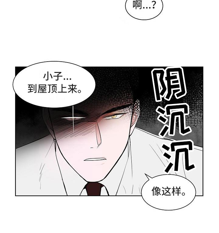 猫狗大战品种漫画,第14章：上天台1图