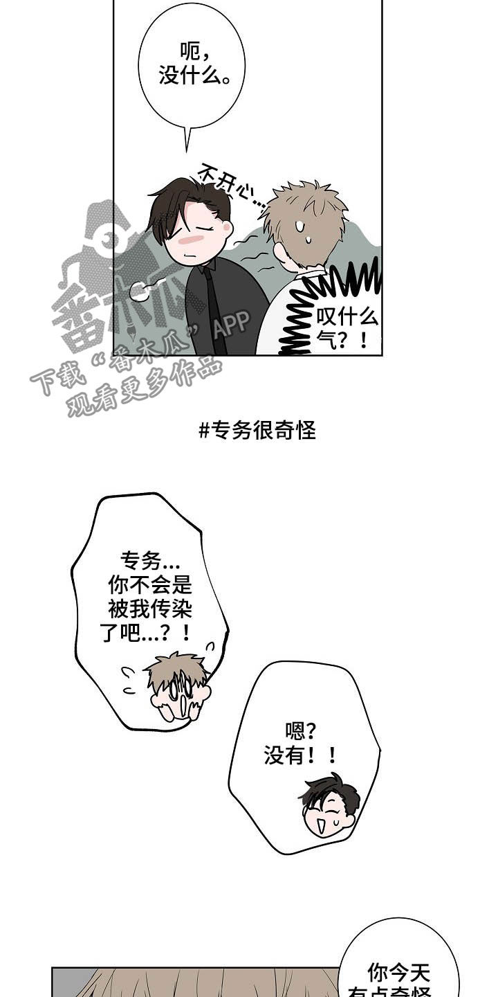 猫狗作战漫画,第21章：打听2图