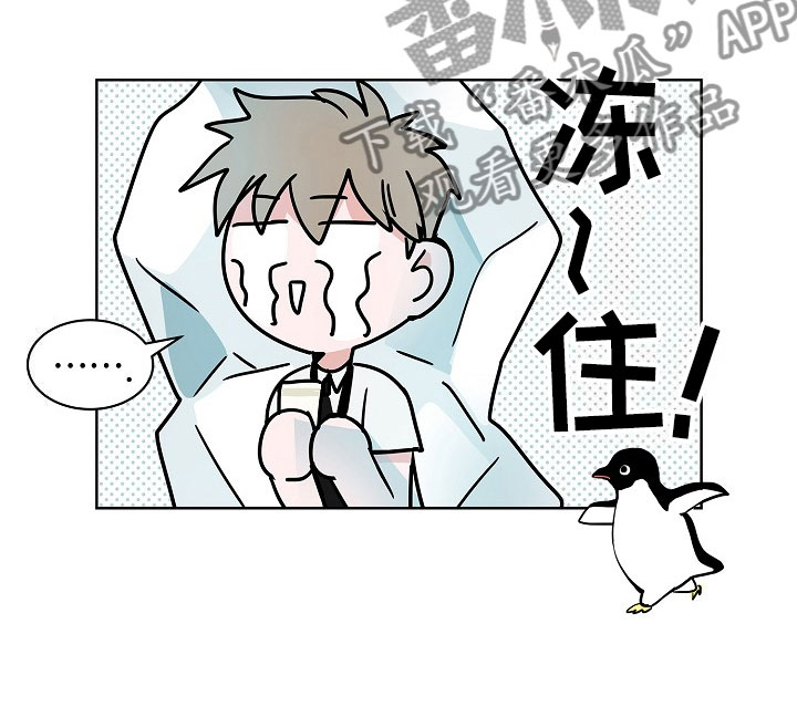 猫狗大战视频漫画,第16章：一言难尽1图