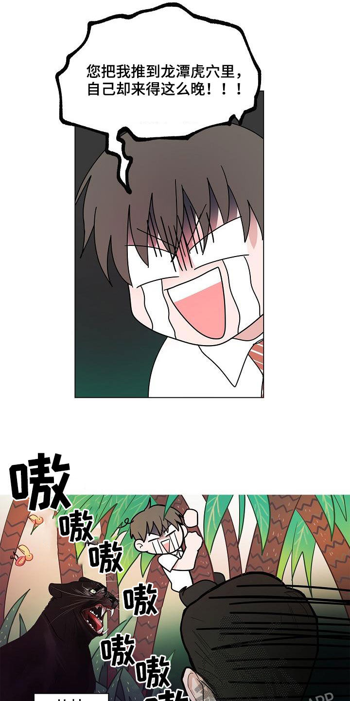 猫狗可爱视频漫画,第49章：是因为我1图