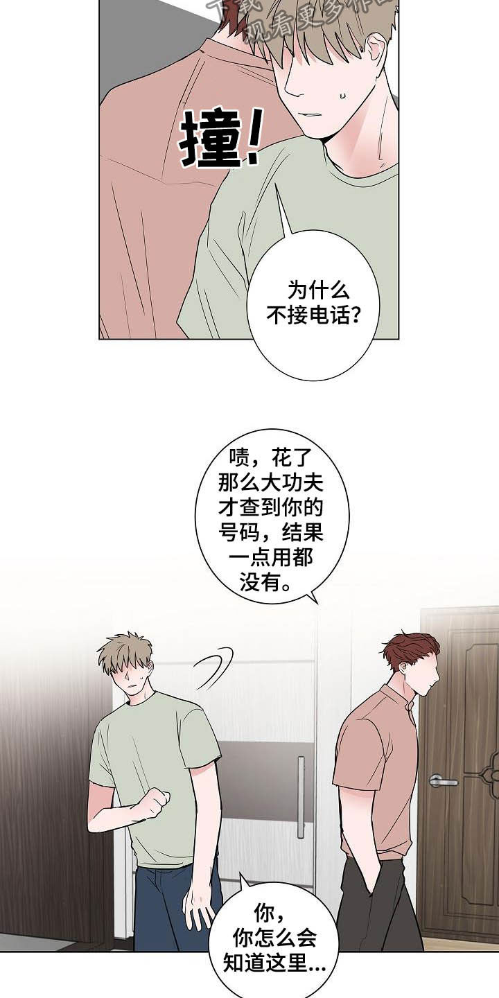 猫狗也疯狂漫画,第46章：重逢2图