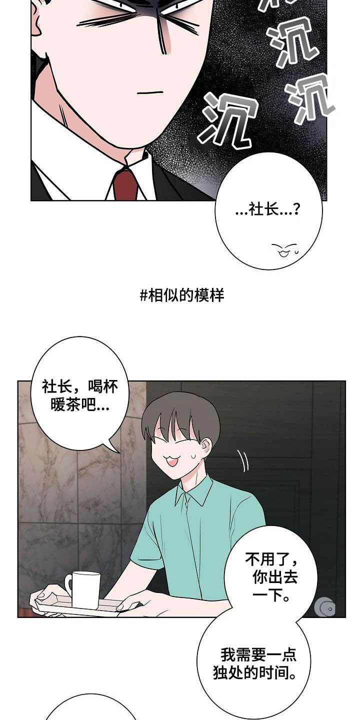 猫狗战斗漫画,第41章：误会大了1图