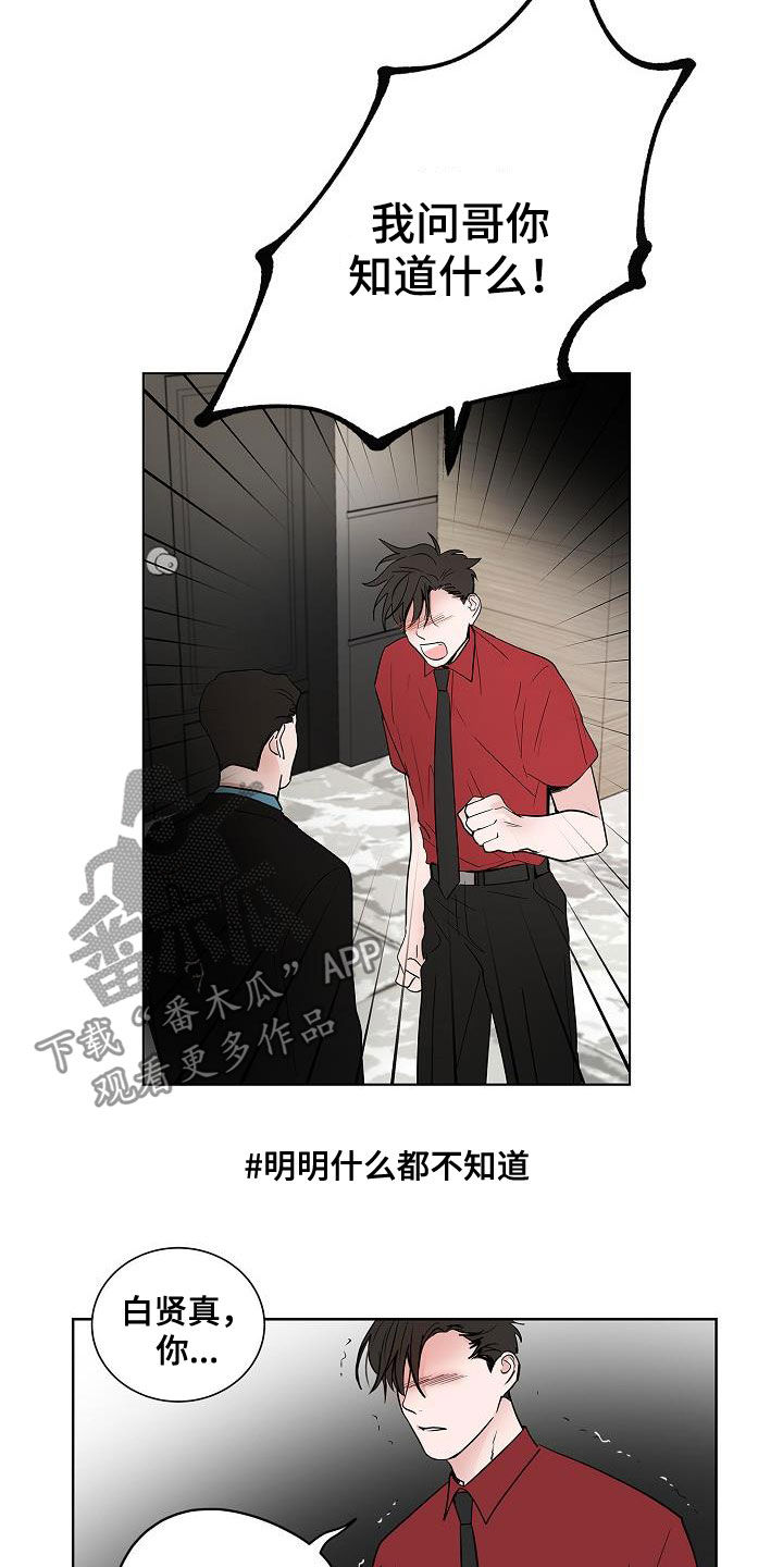 猫狗可爱视频漫画,第49章：是因为我1图