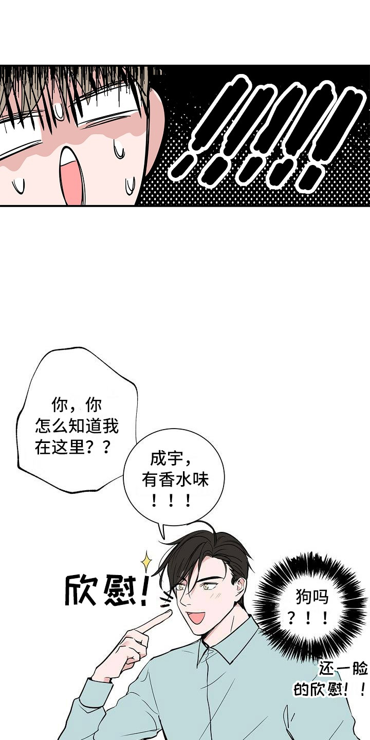 猫狗大战塔防游戏漫画,第3章：太狗了2图