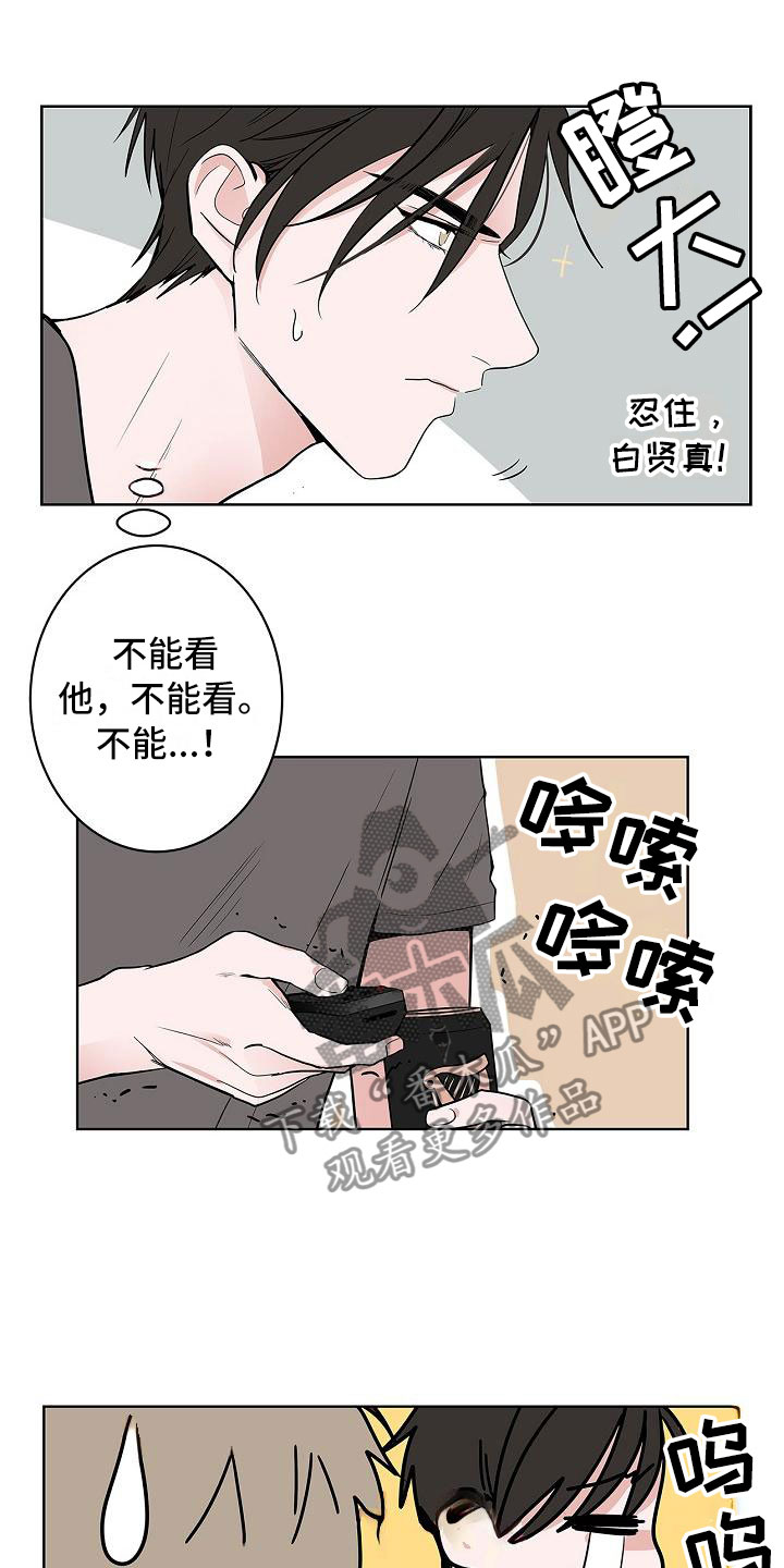 猫狗一窝疯动漫漫画,第12章：朋友游戏1图