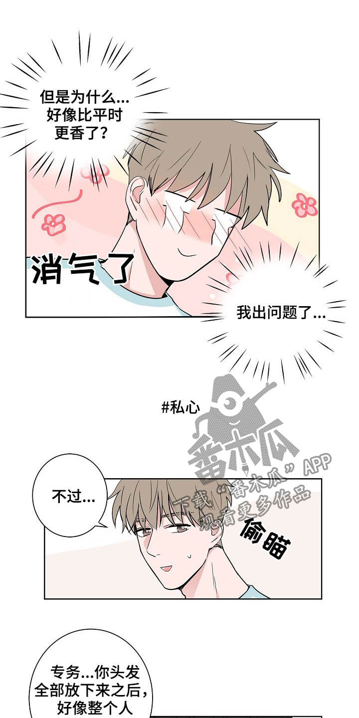 猫狗攻防战漫画免费漫画,第37章：淋雨1图