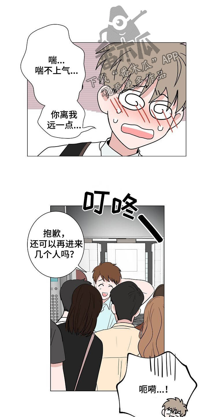 猫狗战斗力比拼漫画,第36章：紧追不舍2图