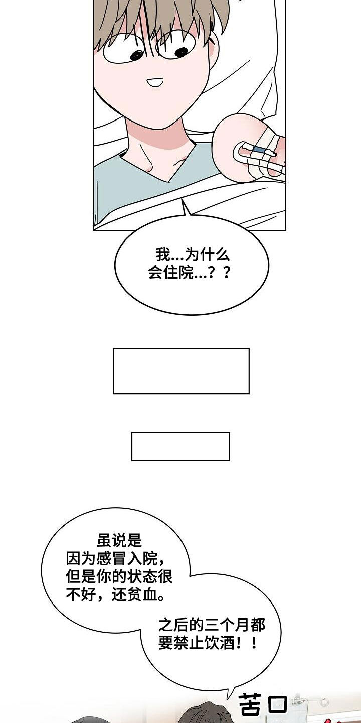 猫狗战漫画,第55章：互相喜欢1图