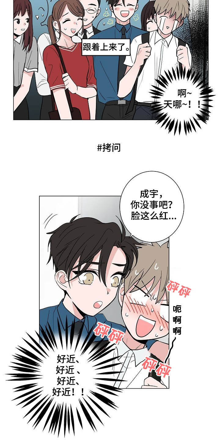 猫狗战斗力比拼漫画,第36章：紧追不舍1图