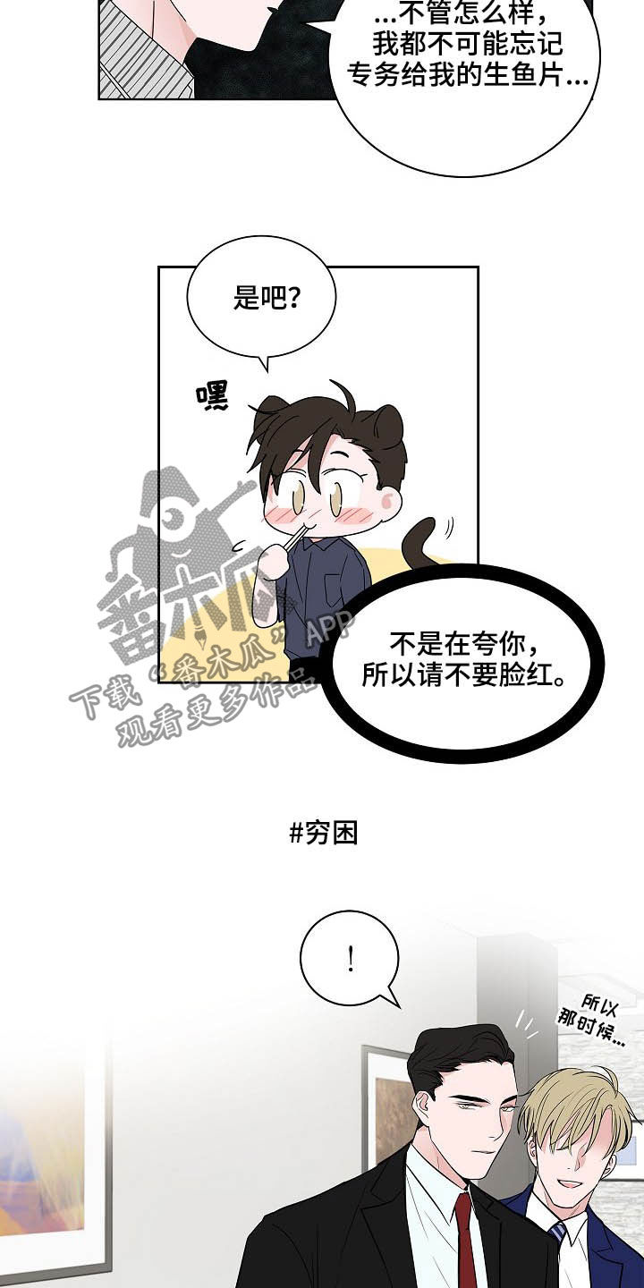 猫狗第一季漫画,第27章：郁郁寡欢2图