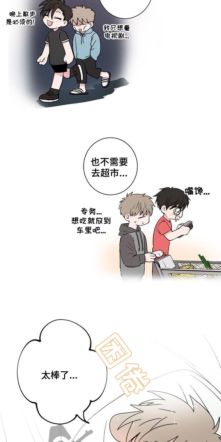 猫狗互战漫画,第63章：独居2图