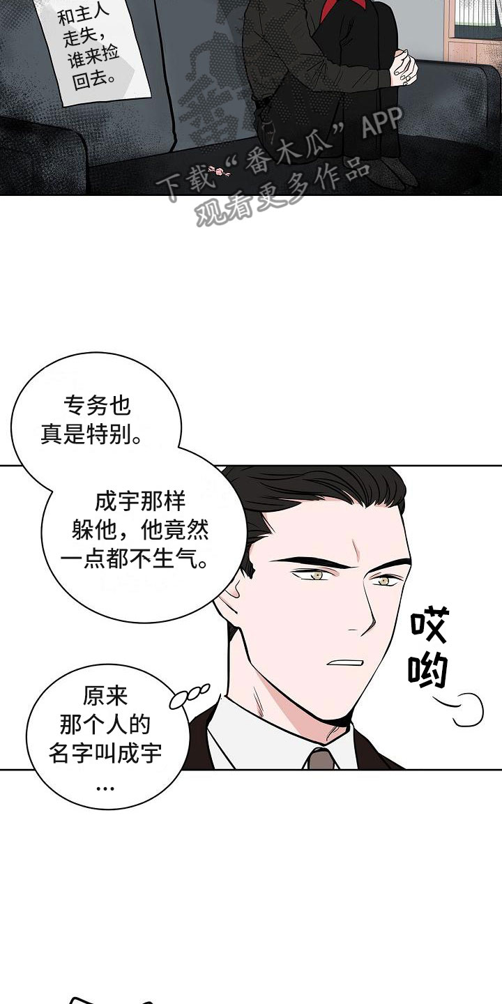 猫狗攻防战还叫什么漫画,第6章：体贴2图