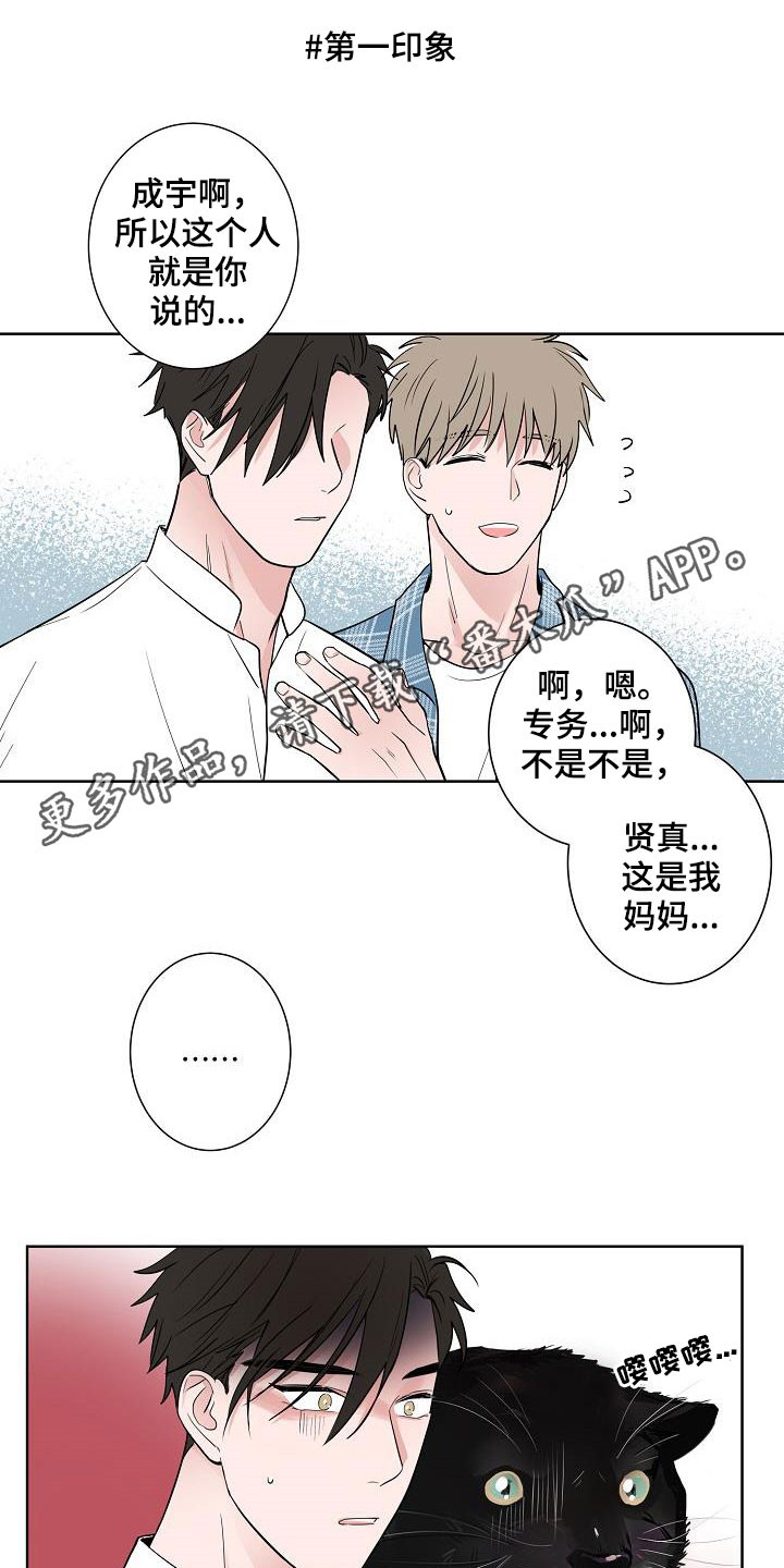 猫狗厕所漫画,第60章：如释重负1图