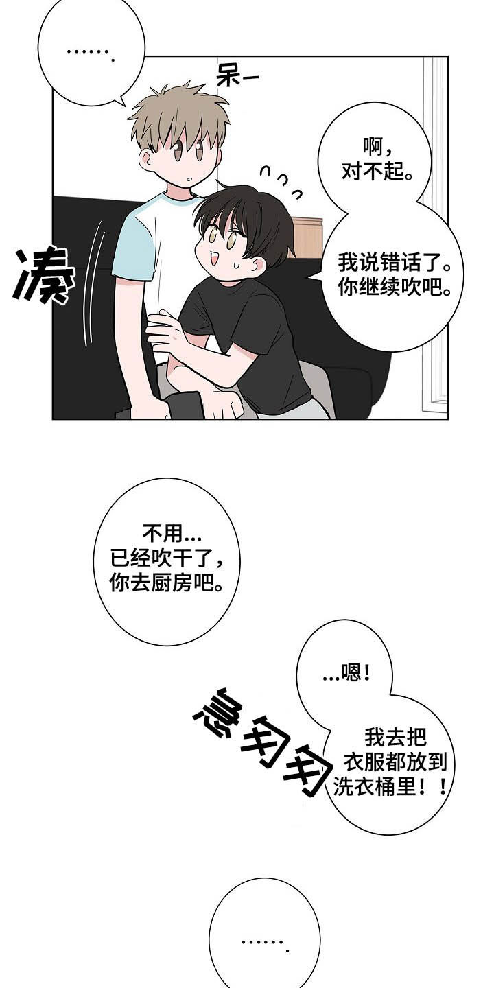 猫狗大战视频漫画,第37章：淋雨2图