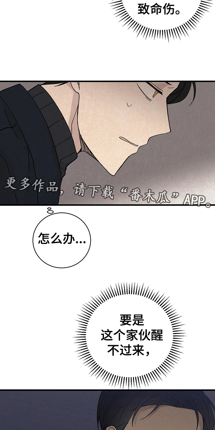 黎明前夕漫画,第10章：治疗2图