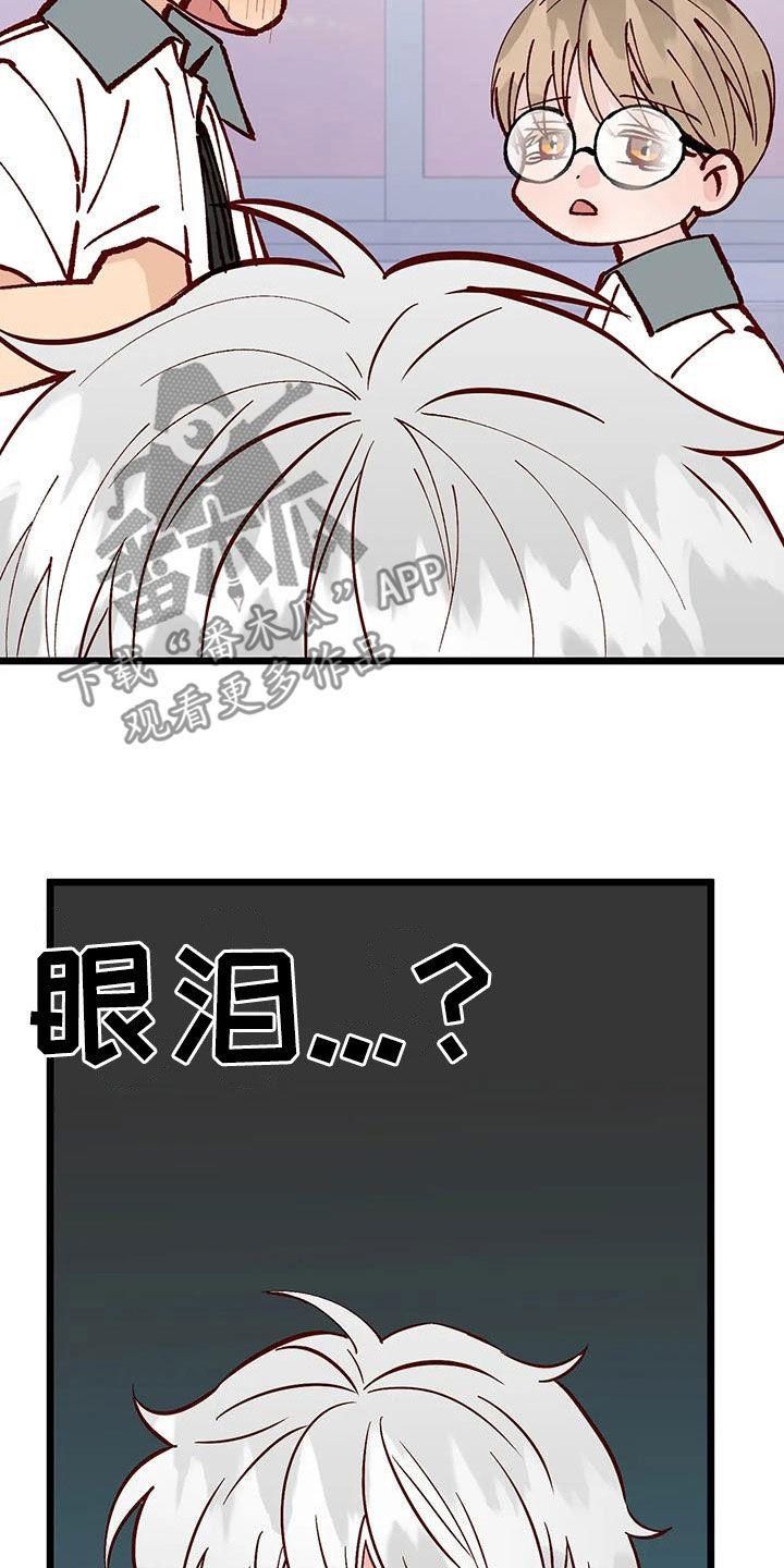 漫画人生k博士漫画,第34章：喜欢2图