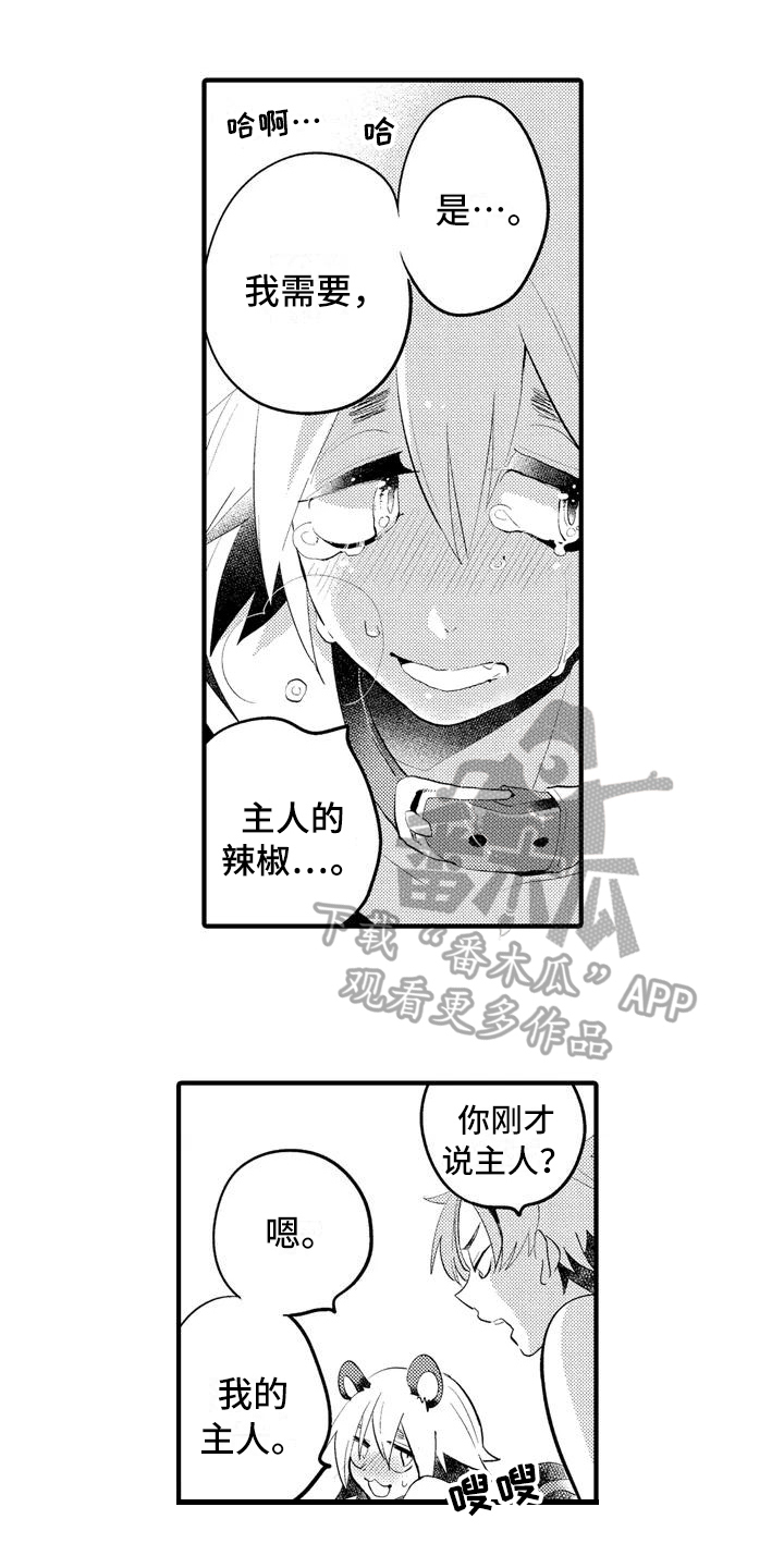 爱的照片大全漫画,第15章：【番外】一无所有2图