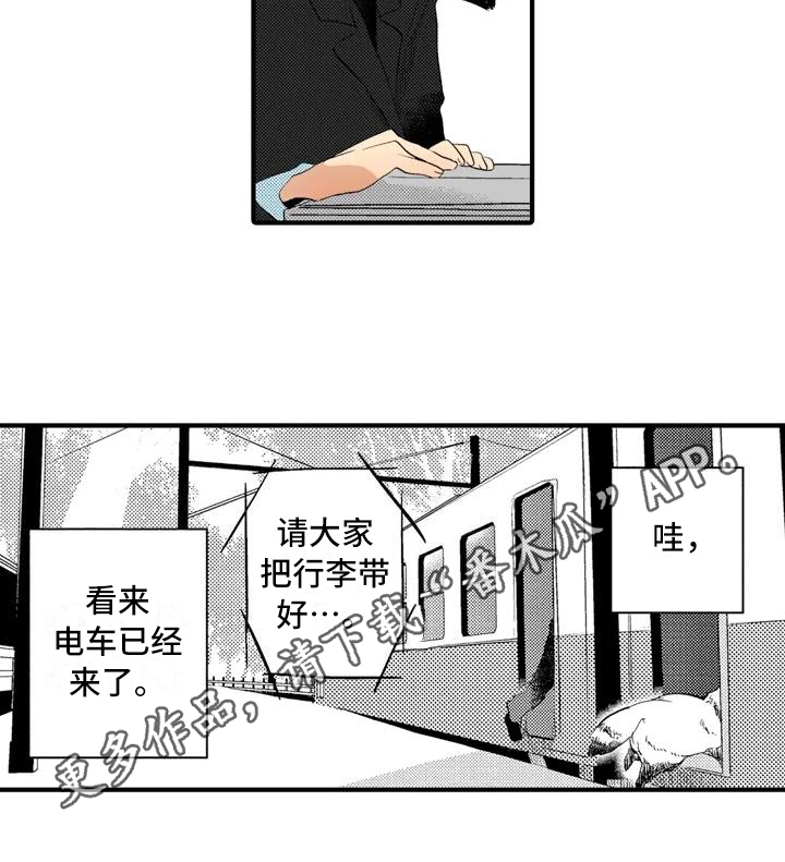 迪丽热巴可爱的照片漫画,第15章：【番外】一无所有2图