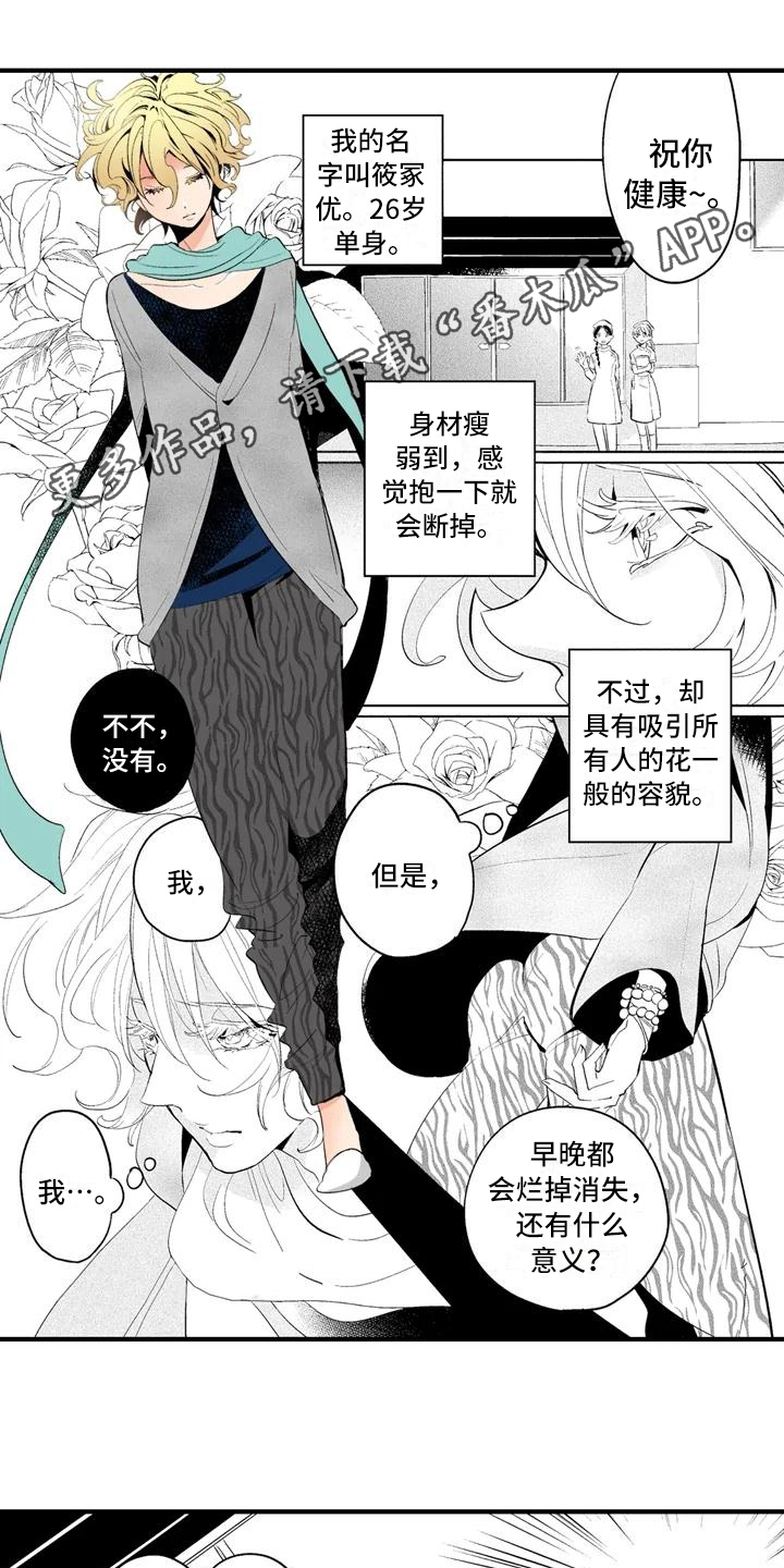 爱的照片唯美浪漫漫画,第16章：【番外】怀疑1图