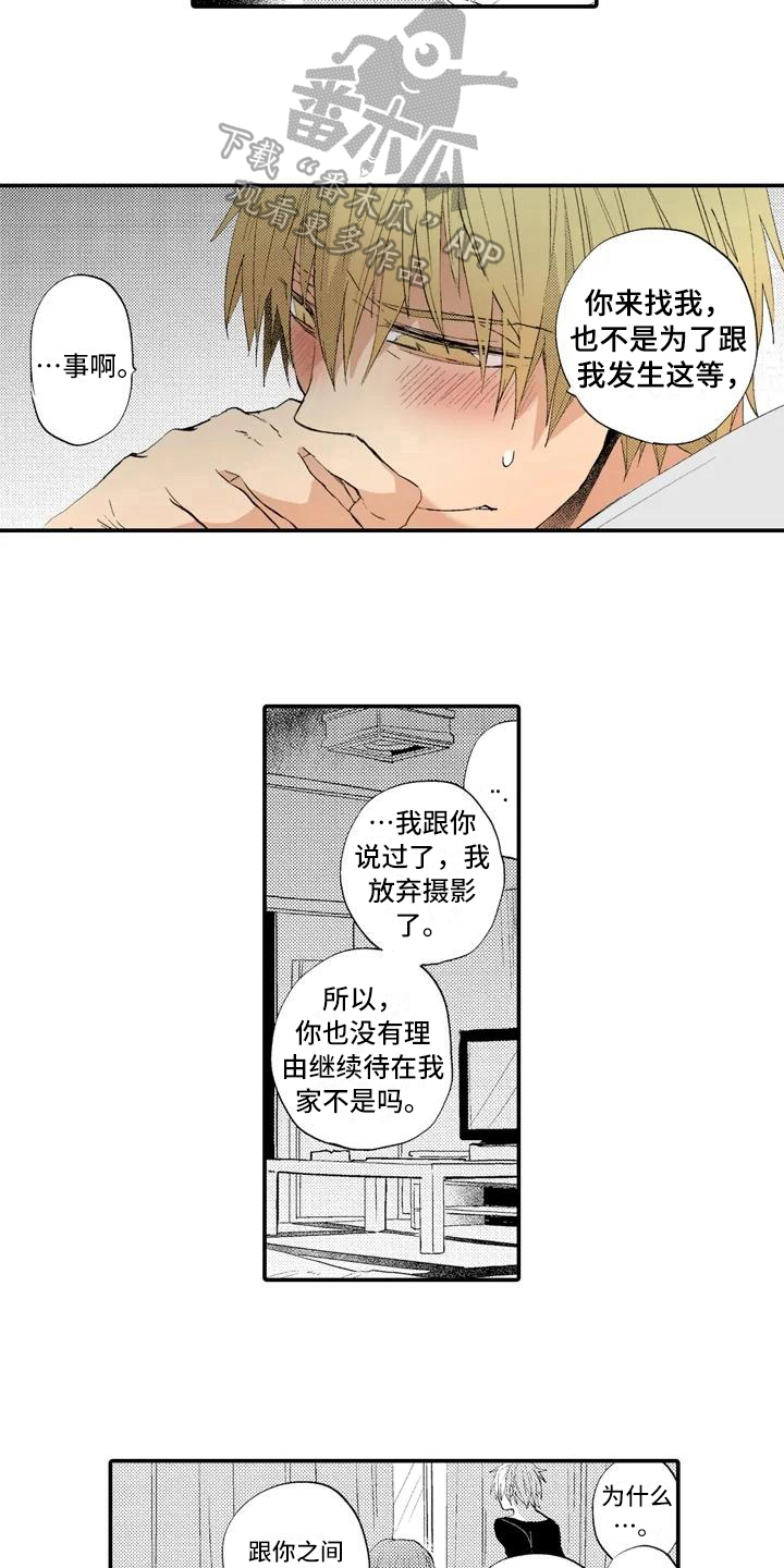 爱的照片图片漫画,第4章：撒谎1图