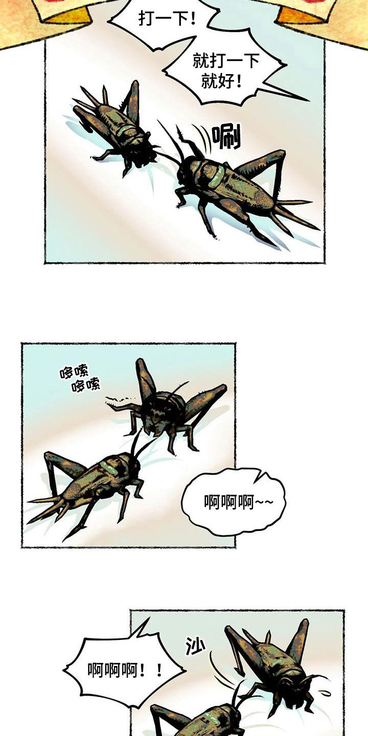 青孀驸马漫画,第25章：斗蛐蛐2图