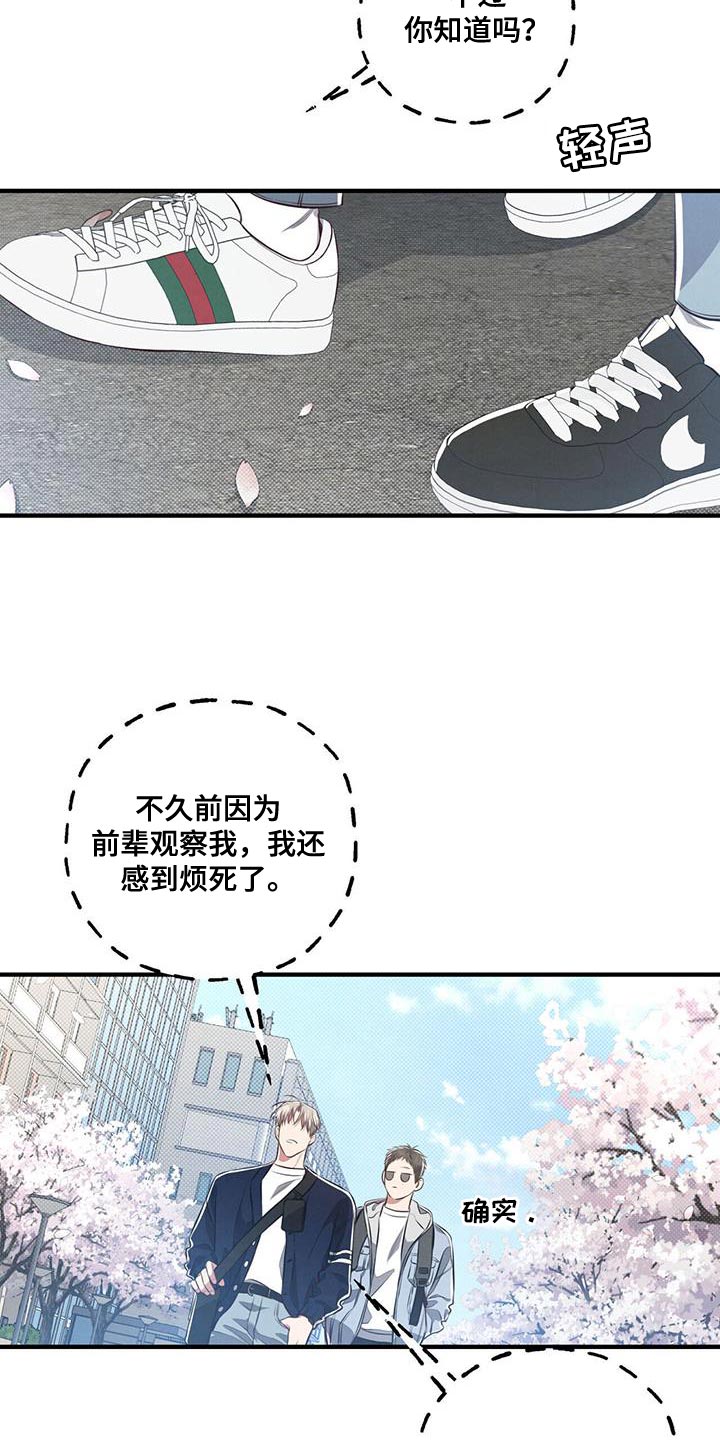 强行分离会怎么样漫画,第29章：他只喜欢我一个人1图