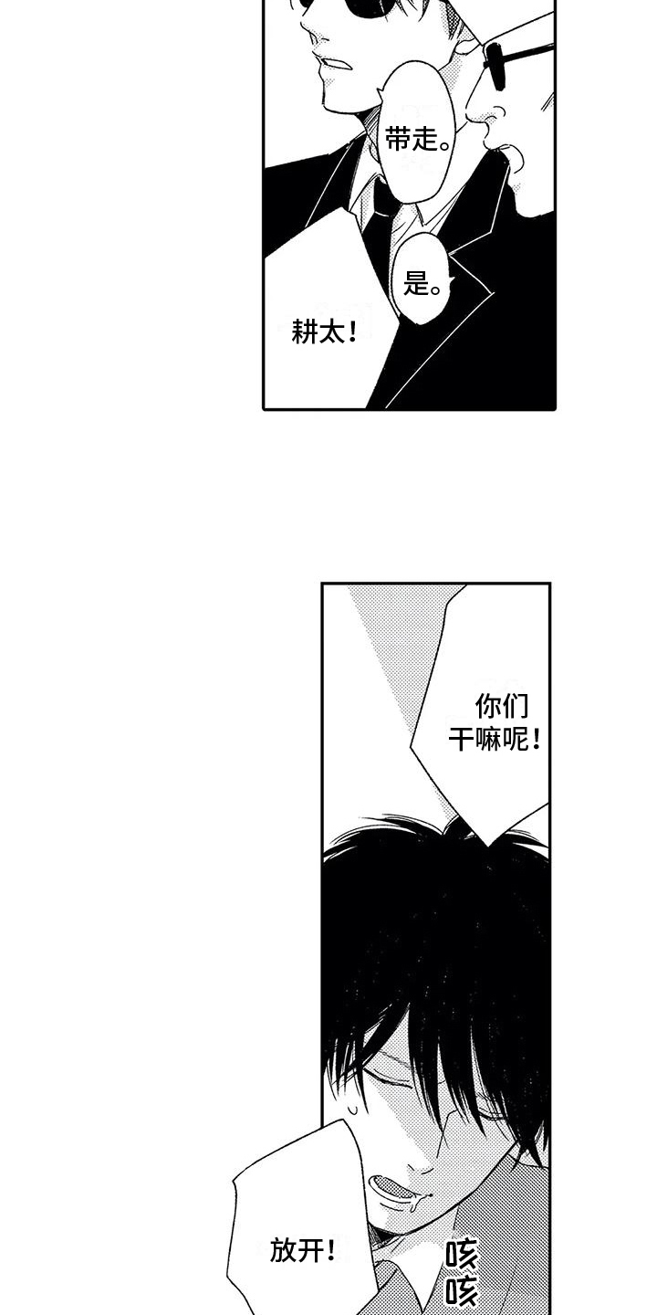 傻瓜君在线观看漫画,第29章：来历【完结】2图