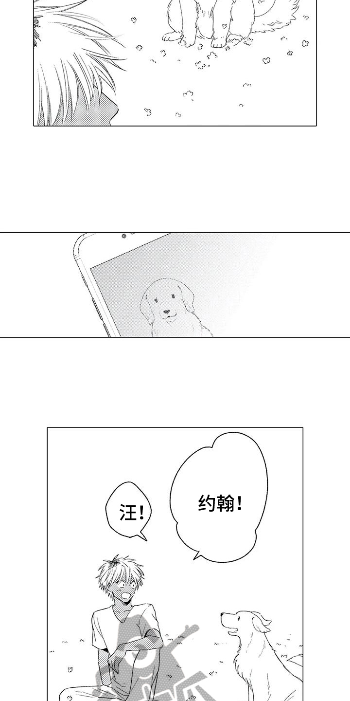 可爱的傻瓜照片漫画,第13章：后悔2图