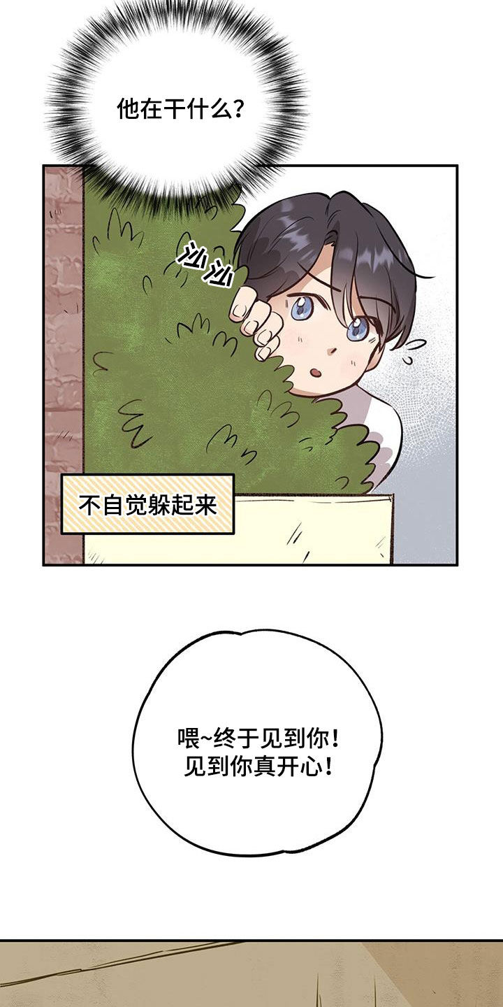 蜂蜜熊漫画,第40章：见义勇为2图