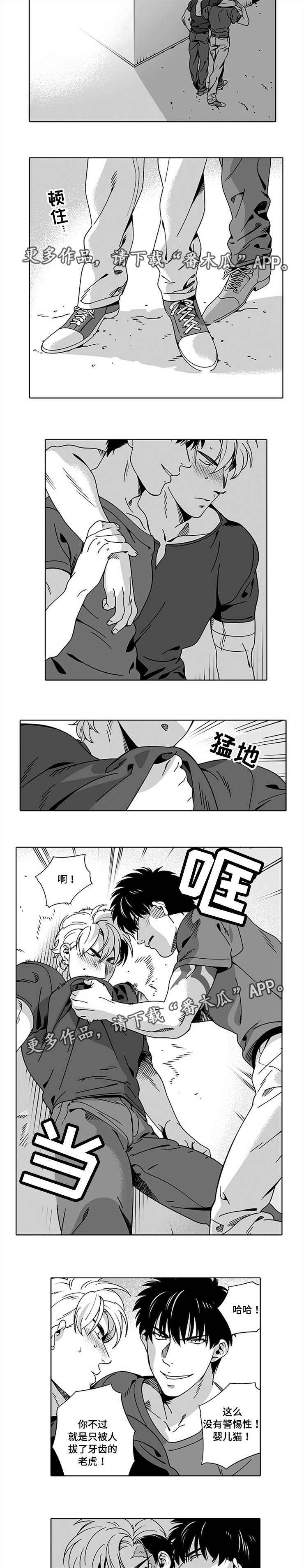 黑暗行者玩具漫画,第13章：确定一下1图