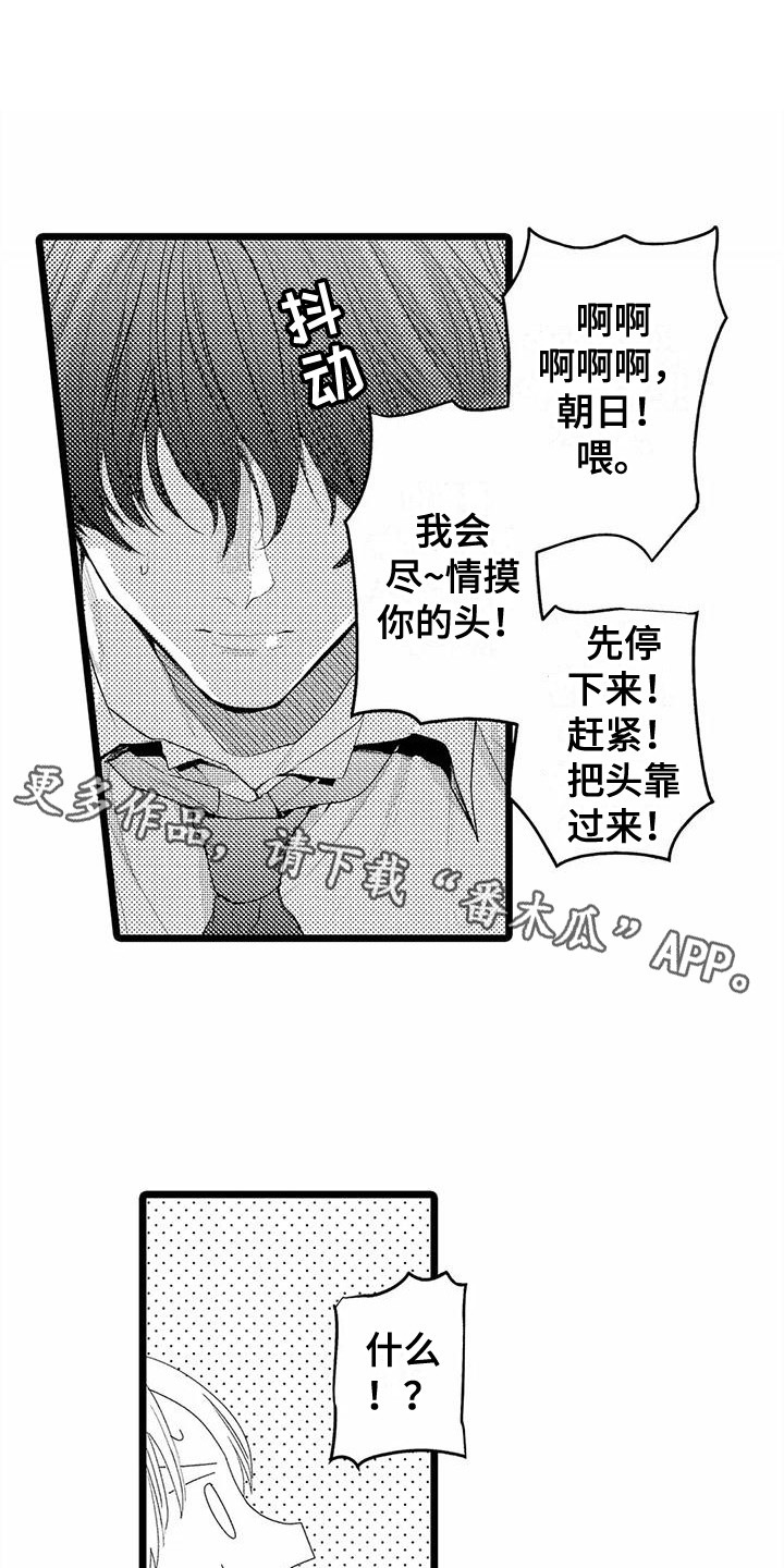 疯狂的前辈漫画,第18章：想要了解  1图