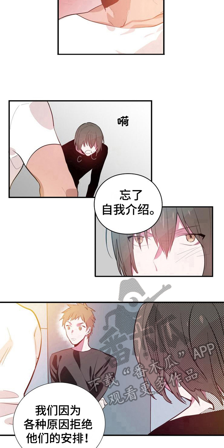 青年培训中心漫画免费阅读漫画,第4章：帮派1图