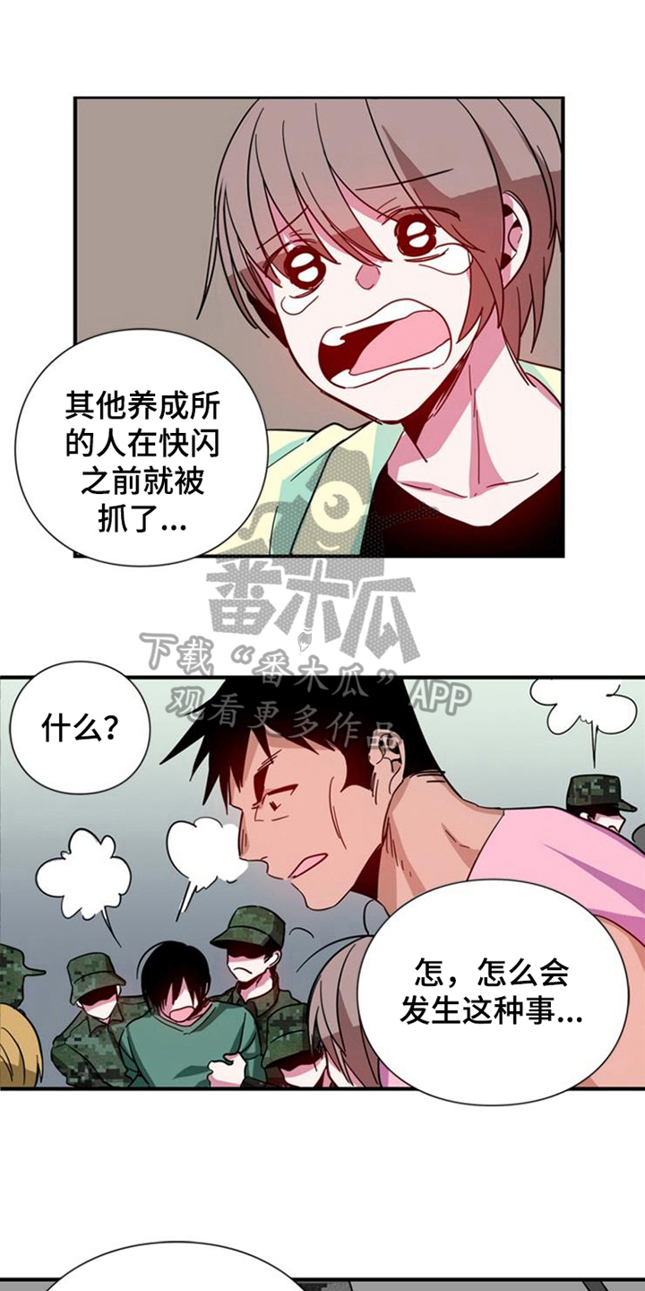 青年培训中心漫画,第22章：条件1图