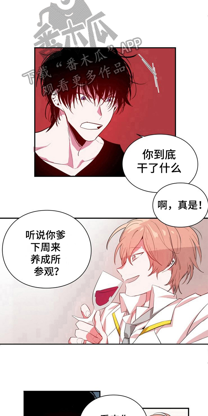 青年培训班自我介绍漫画,第10章：发现1图