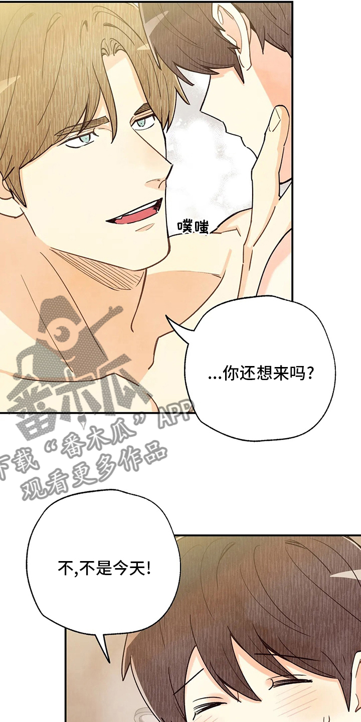 身体刻印免费漫画,第146章：戒指2图