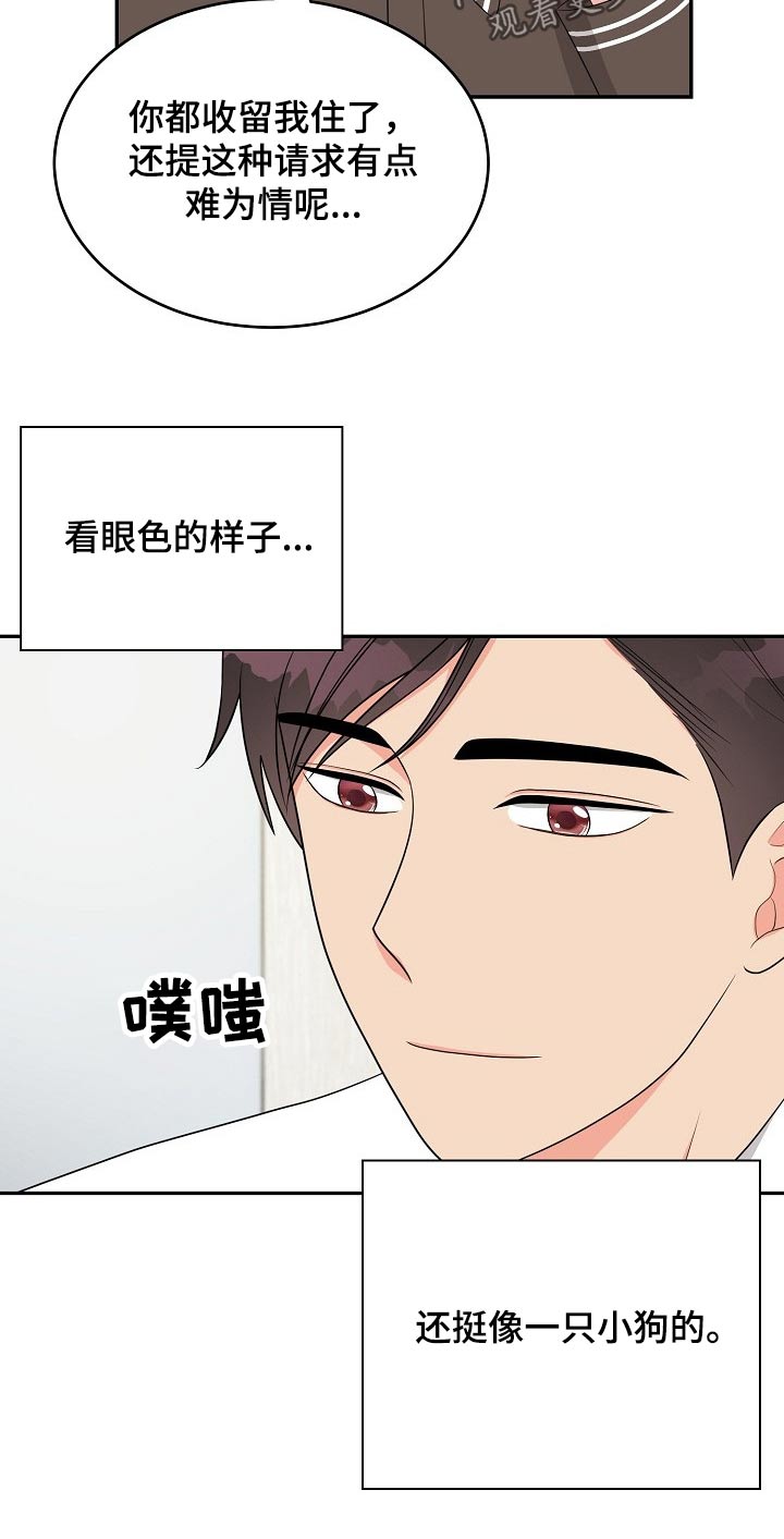 创作灵感上热门破10000粉漫画,第21章：眼色1图