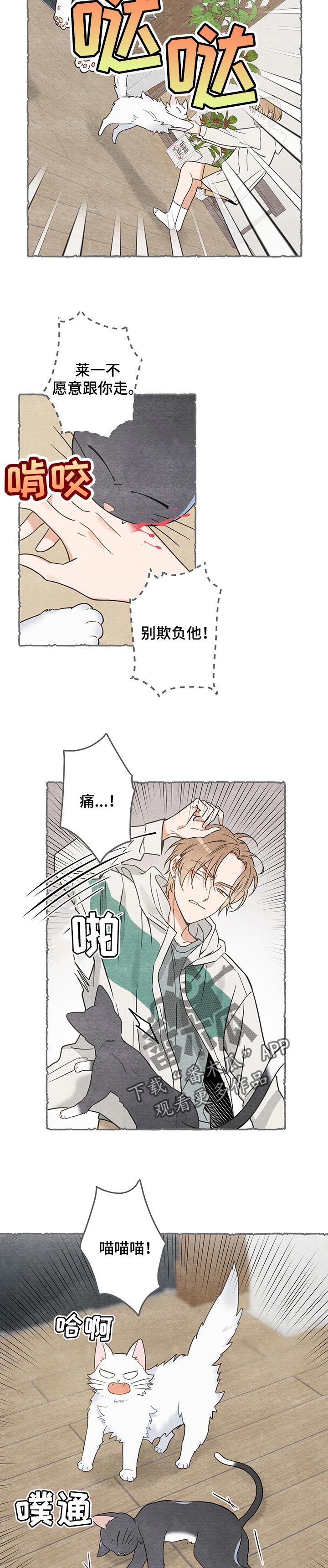 亲爱的喵君免费漫画在线漫画,第102章：撒气1图
