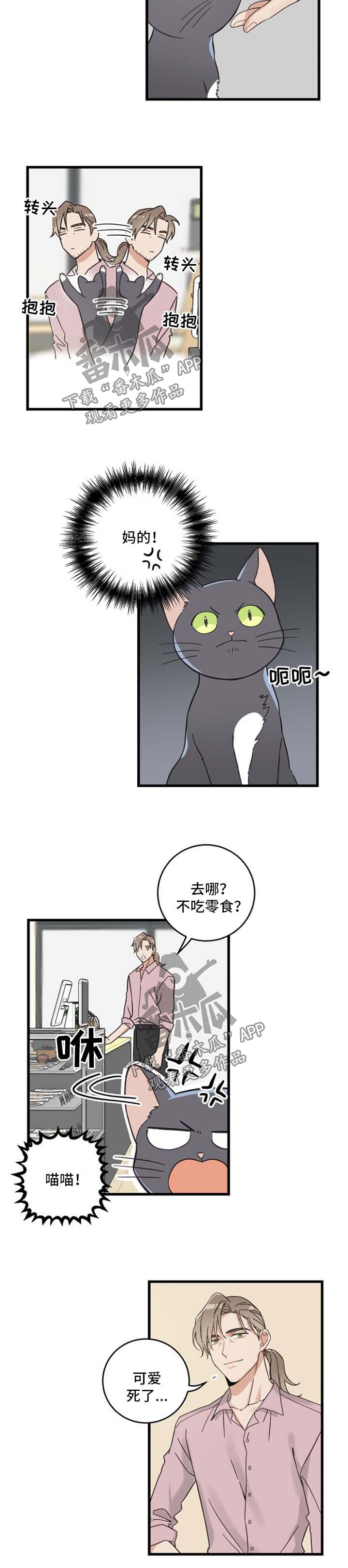 亲爱的喵君免费漫画在线漫画,第95章：不行1图