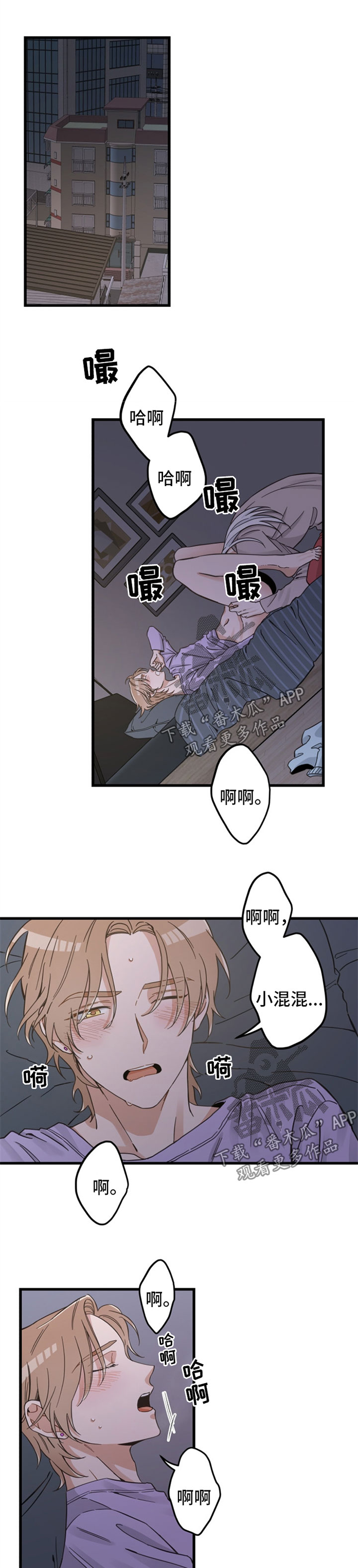 亲爱的喵君免费漫画在线漫画,第85章：打扰好事1图