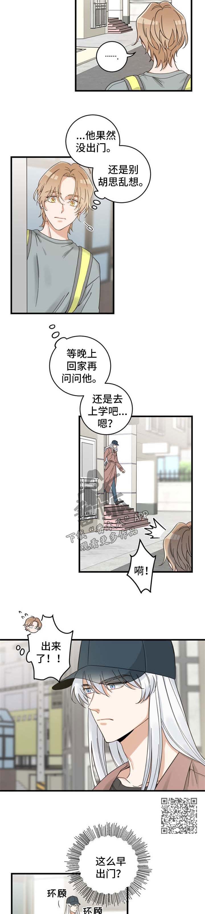 亲爱的喵君免费漫画在线漫画,第98章：跟踪2图